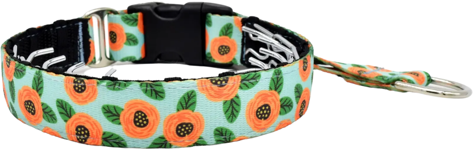 1" Josie Everyday Private Trainer
