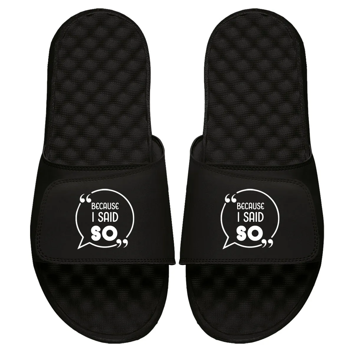 Because I Said So Slides