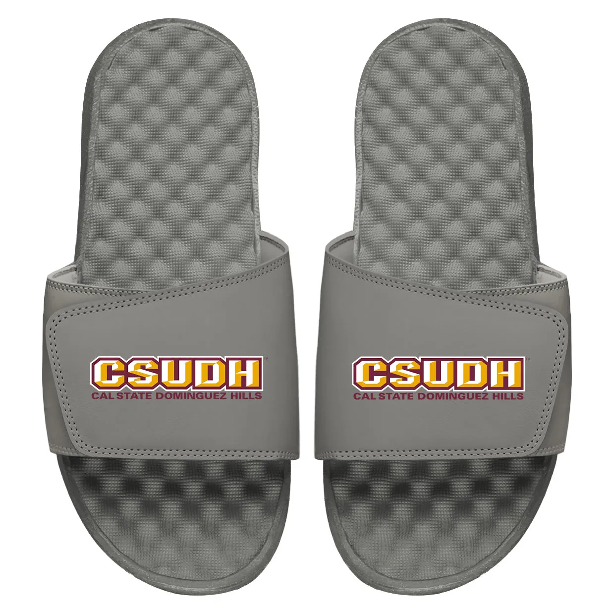 Cal State DH Wordmark Slides