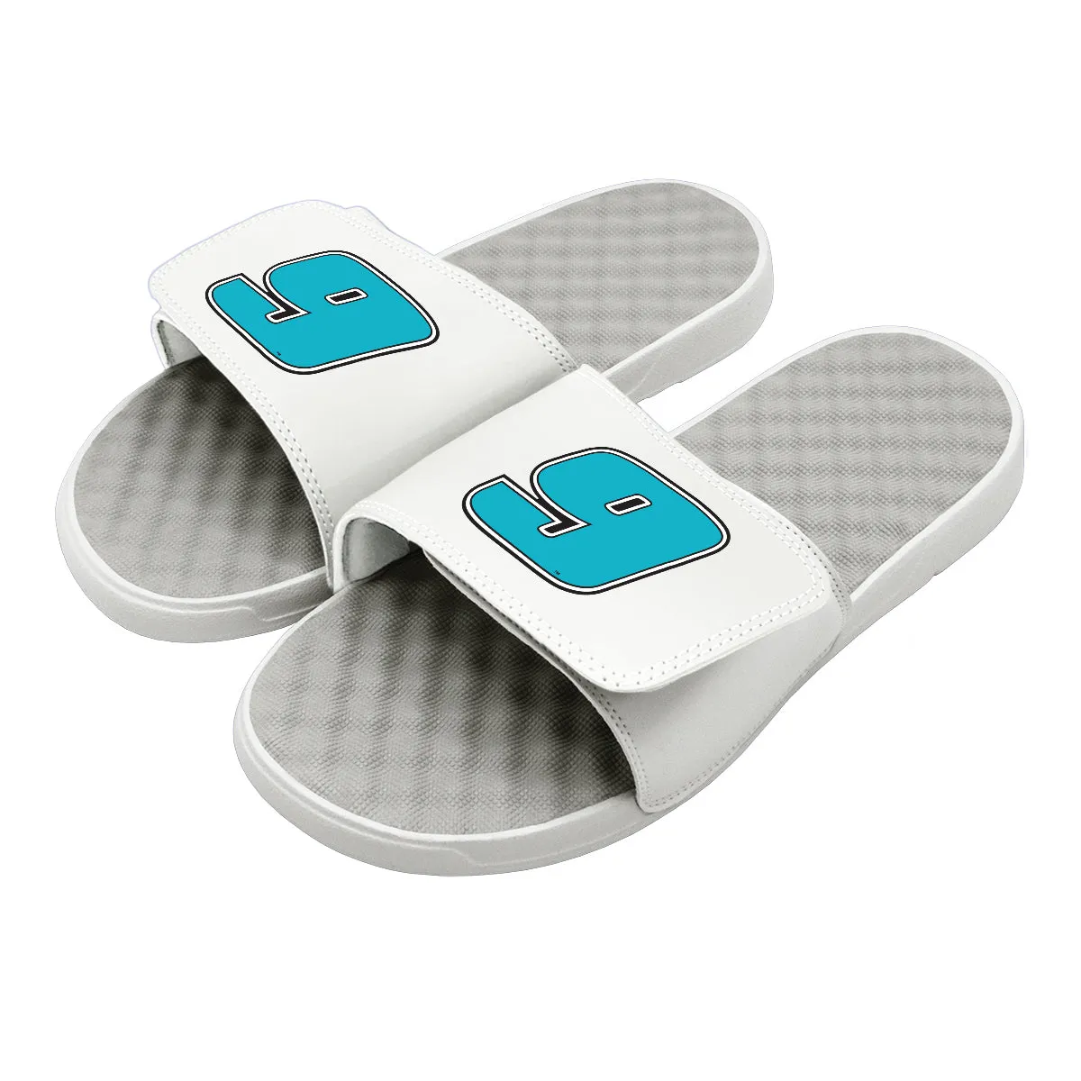 Chase Elliot 9 Blue Outline Slides