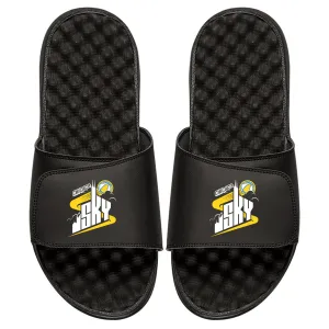 Chicago Sky Primary Slides