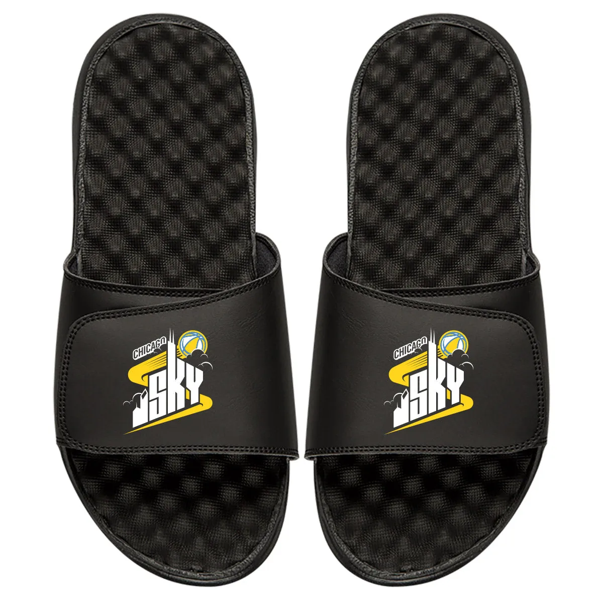 Chicago Sky Primary Slides