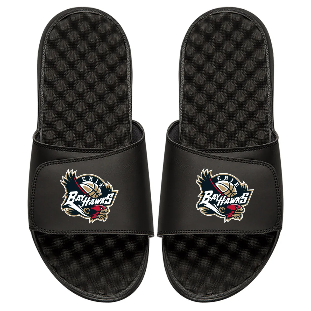 Erie Hawks Slides