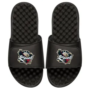 Erie Hawks Slides