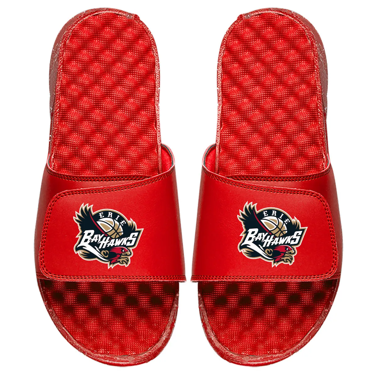 Erie Hawks Slides