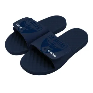 FC Dallas Tonal Pop Slides