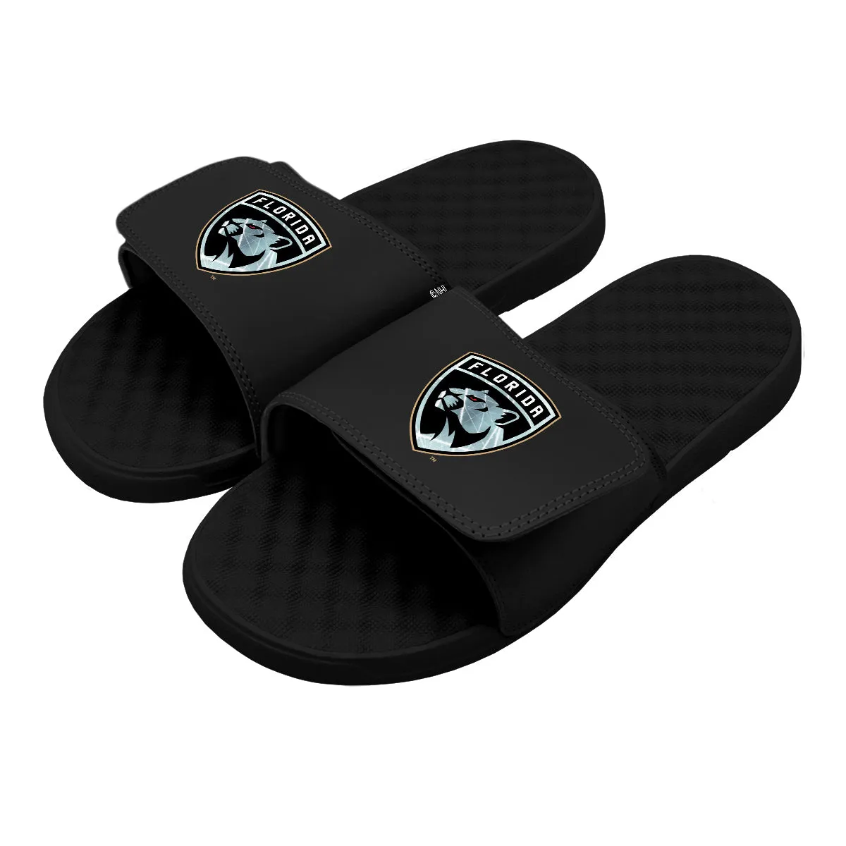 Florida Panthers Ice Mask Slides