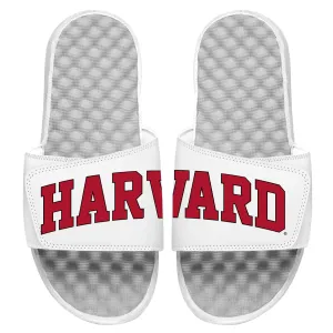 Harvard Split Wordmark Slides