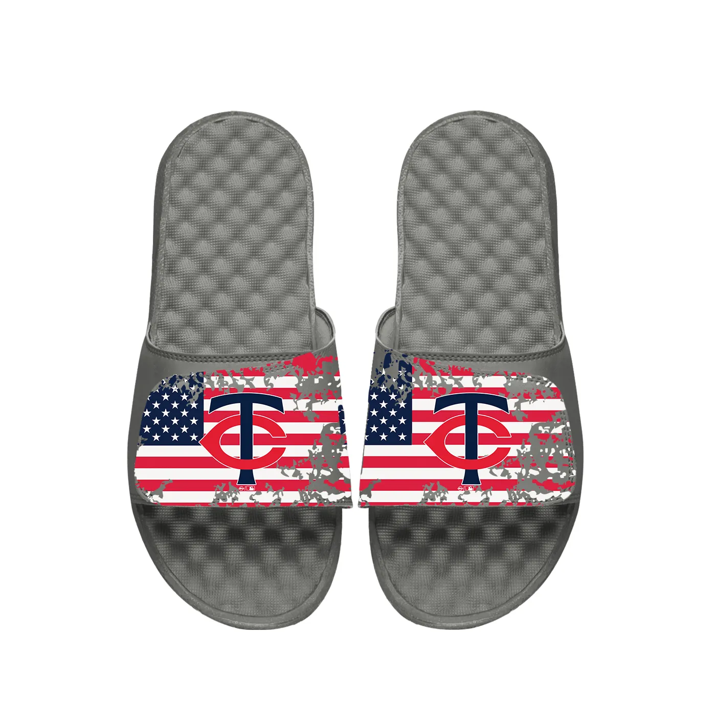 Minnestoa Twins American Flag Slides