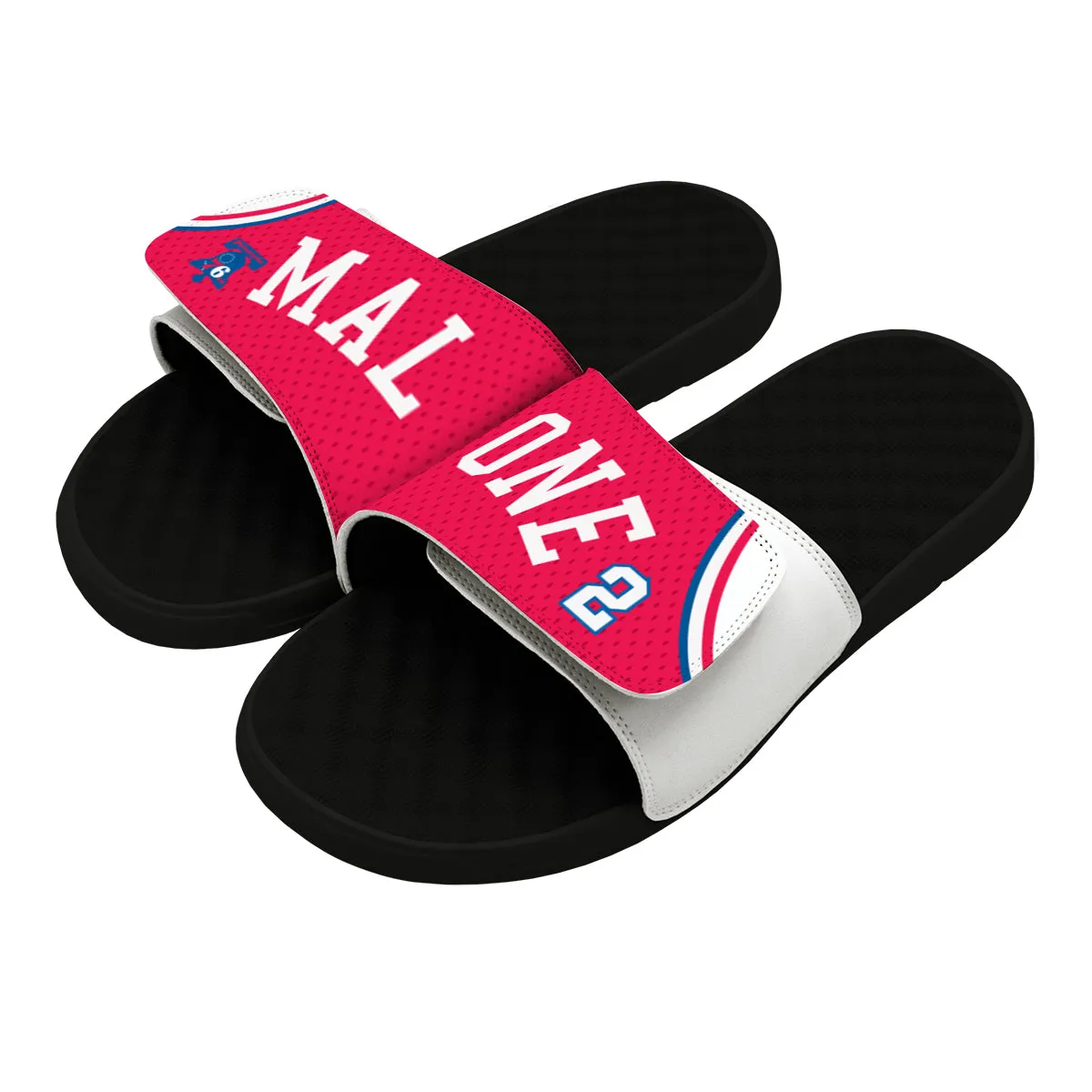 Moses Malone #2