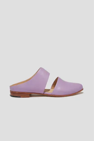 Mule in Lilac