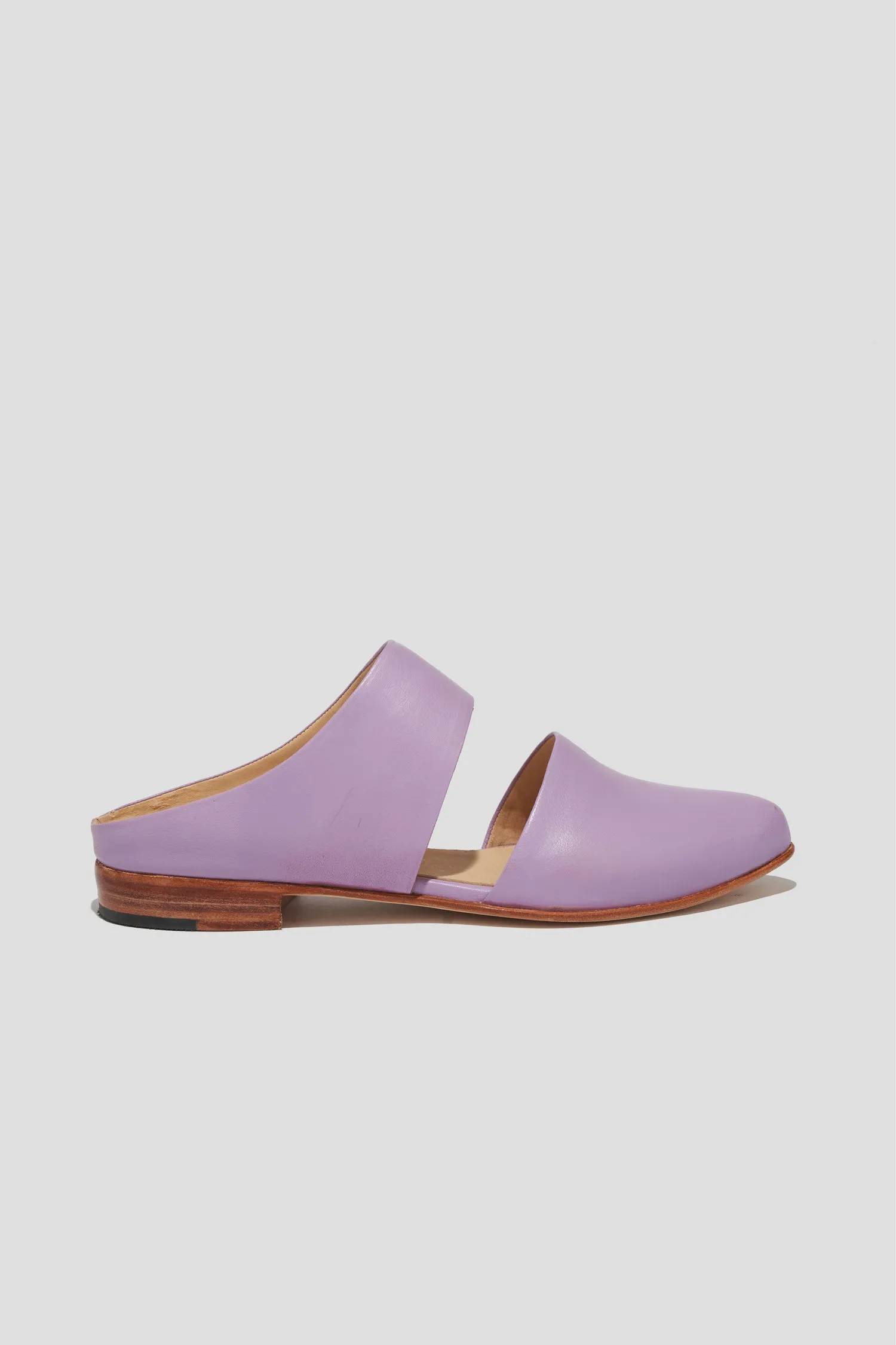 Mule in Lilac