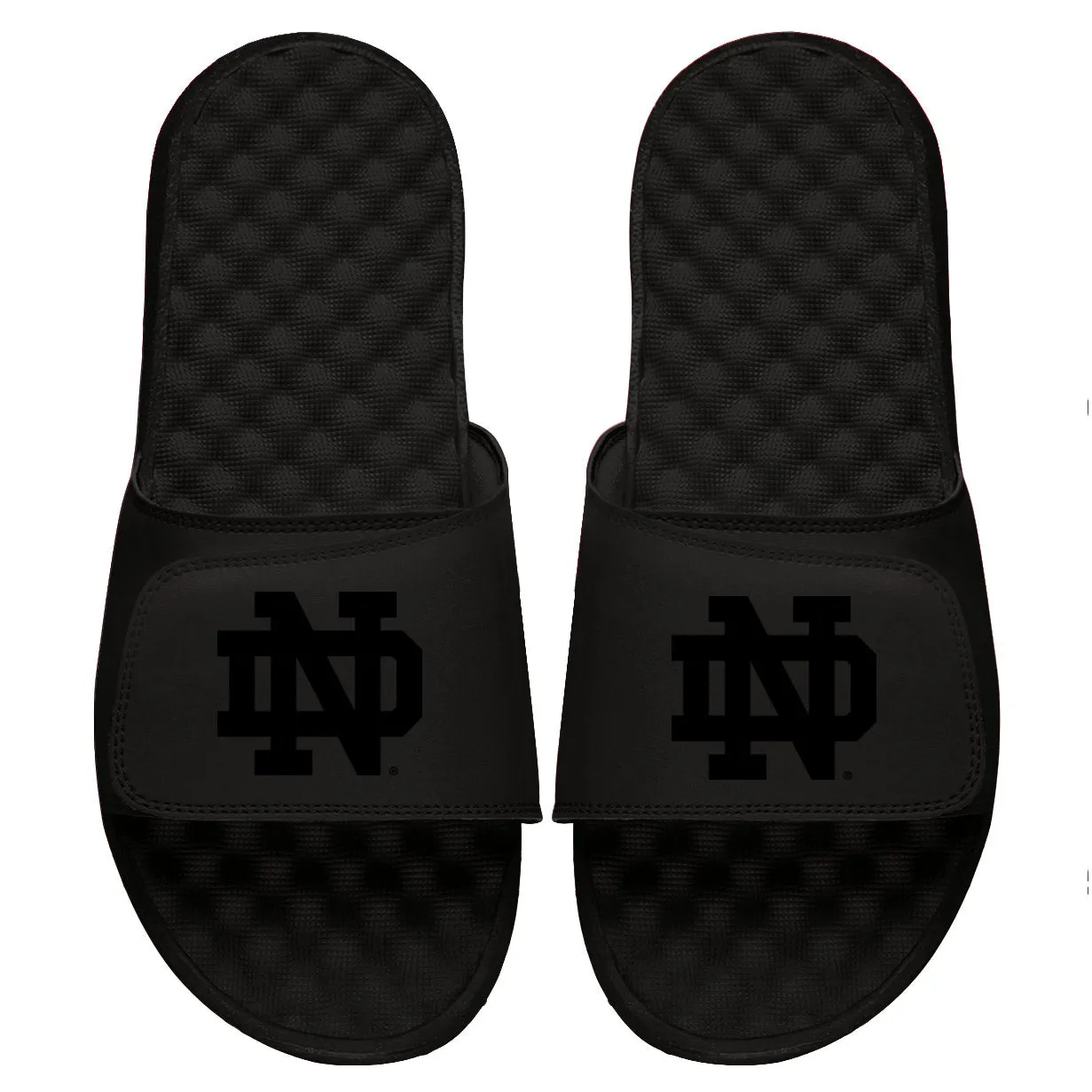 Notre Dame Primary Tonal Slides