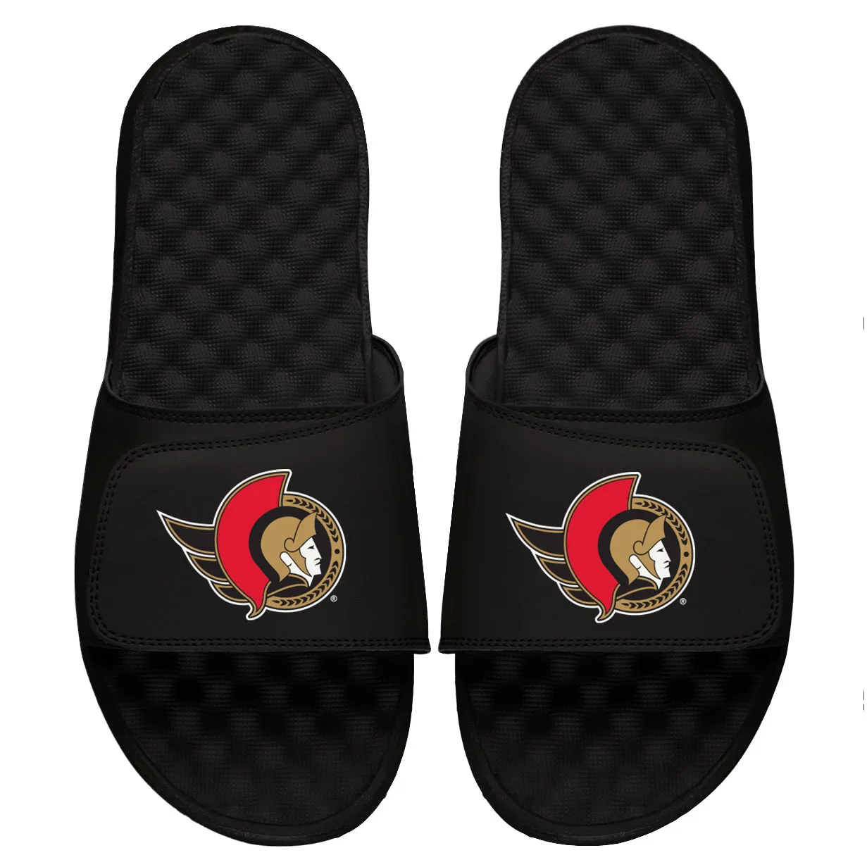 Ottawa Senators Primary Slides
