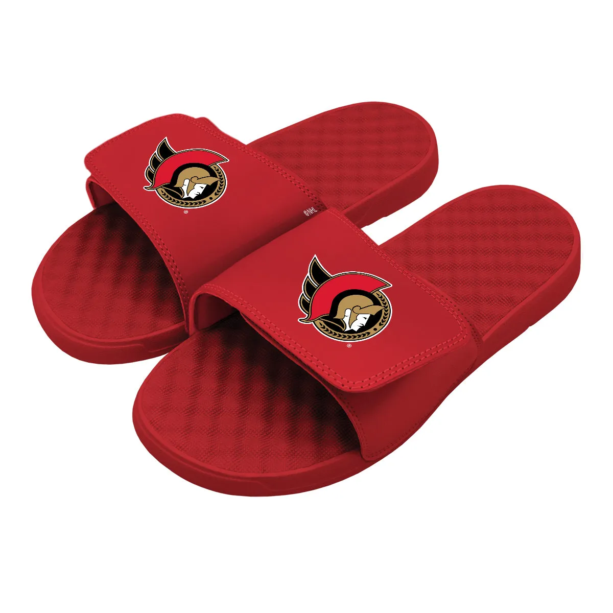 Ottawa Senators Primary Slides