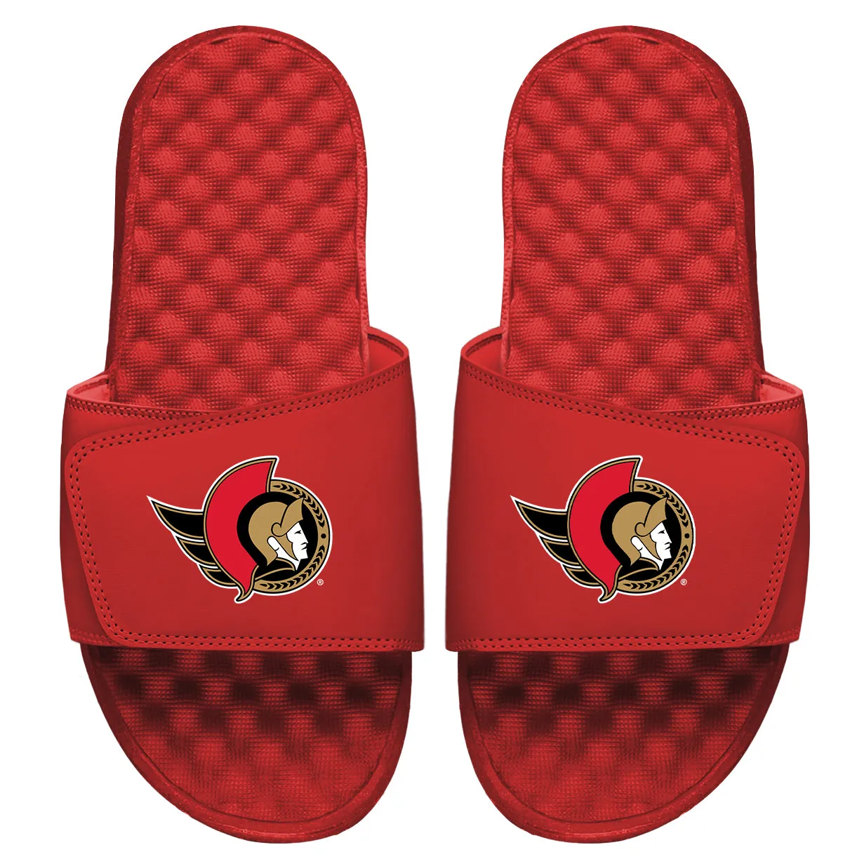 Ottawa Senators Primary Slides