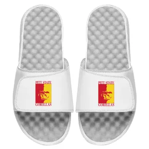 Pitt State Alternate Slides