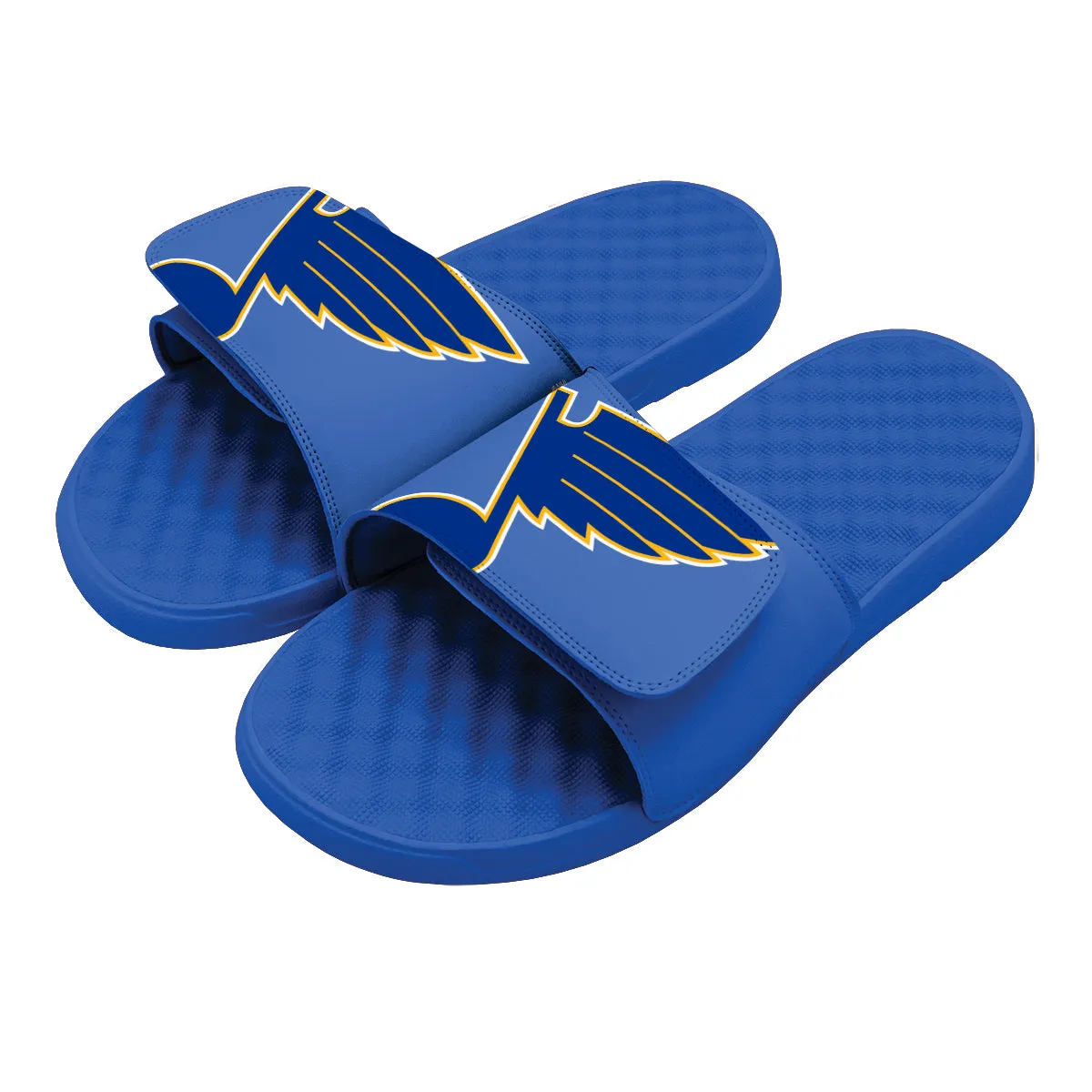 St Louis Blues Blown Up Slides