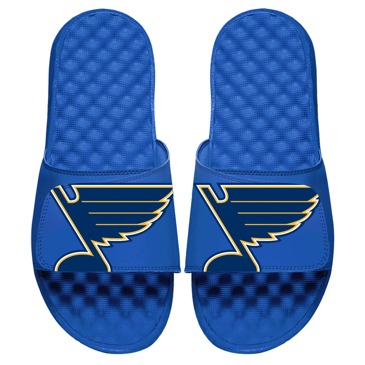 St Louis Blues Blown Up Slides