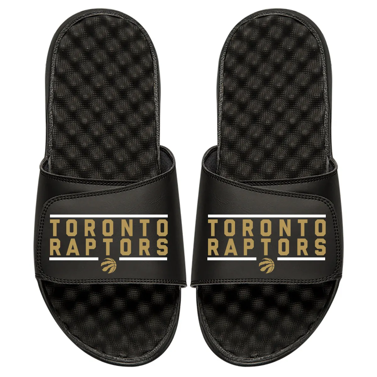 Toronto Raptors Bar Logo Slides