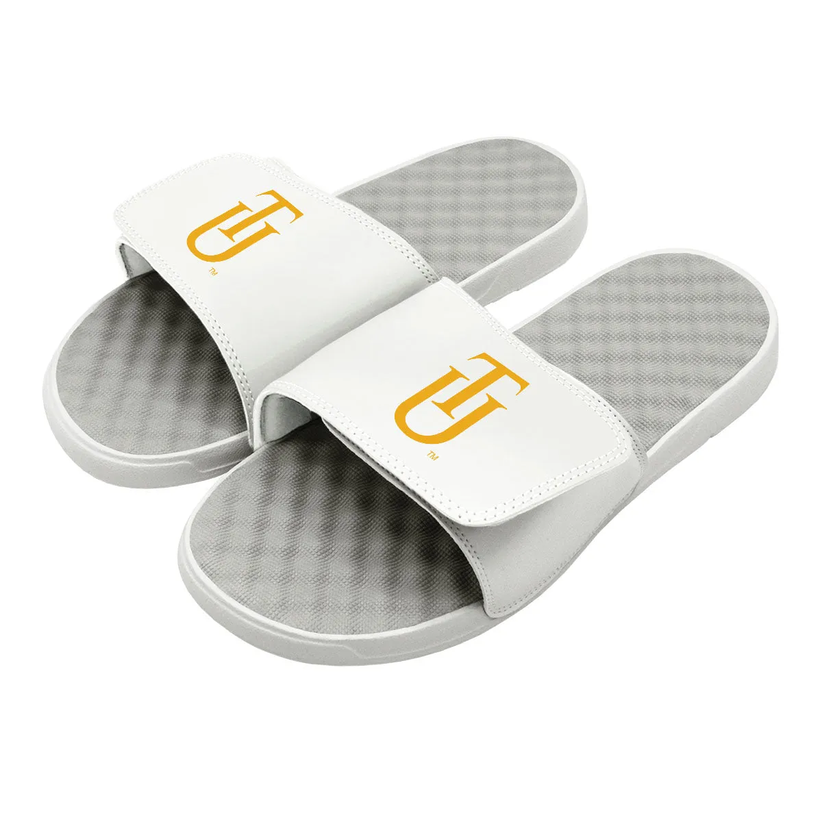 Tuskegee Logo Slides