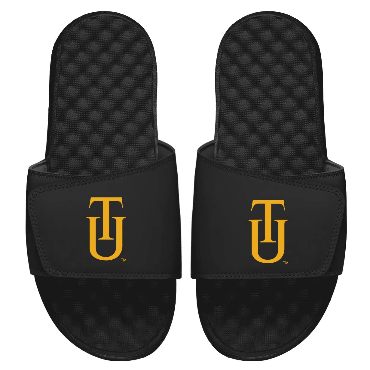 Tuskegee Logo Slides