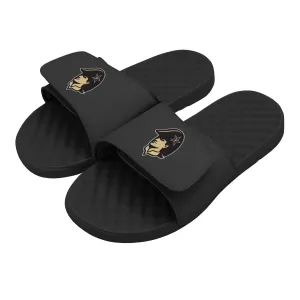 Vanderbilt Mascot Slides