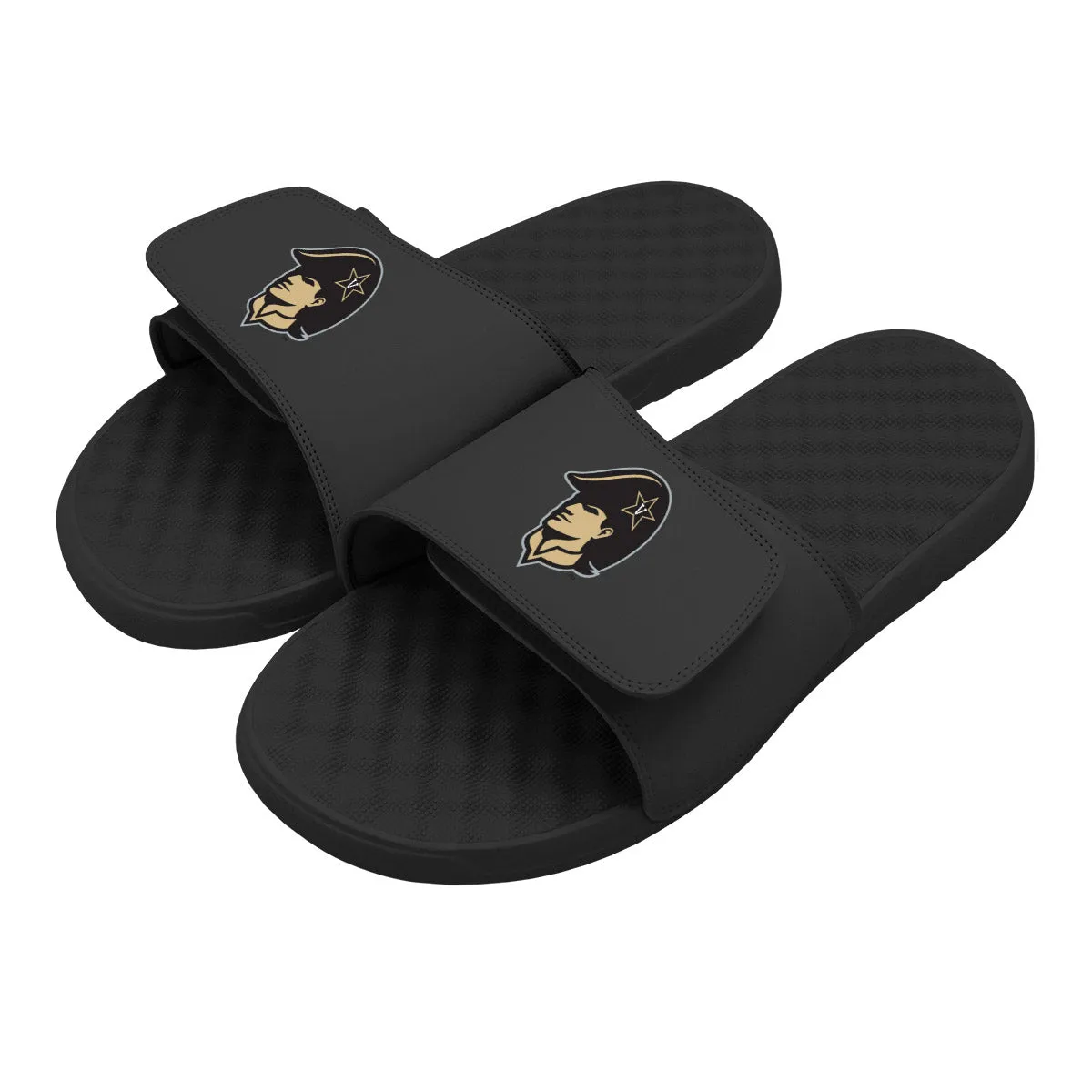 Vanderbilt Mascot Slides